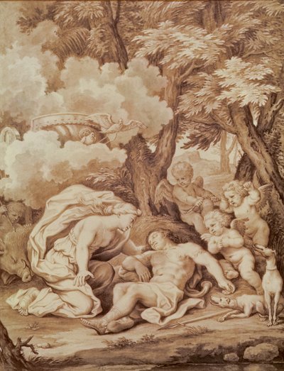Venus Discovering Adonis, from 